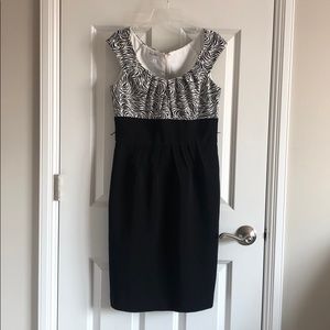 London Times Zebra Work Dress 6